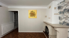 Peintures murs et plafonds