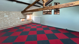 Toile a peindre et peinture